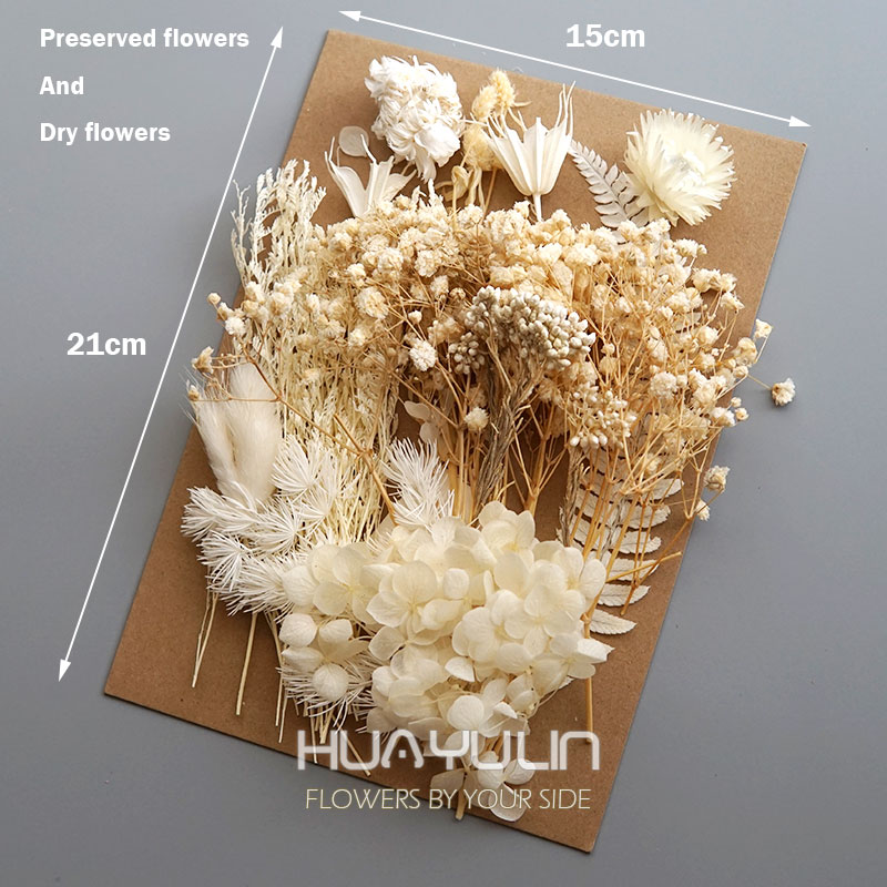 1 แพ็คพืชประดิษฐ์แห้งดอกไม้จริ - Candle Making Supplies บทวิจารณ์และราคา